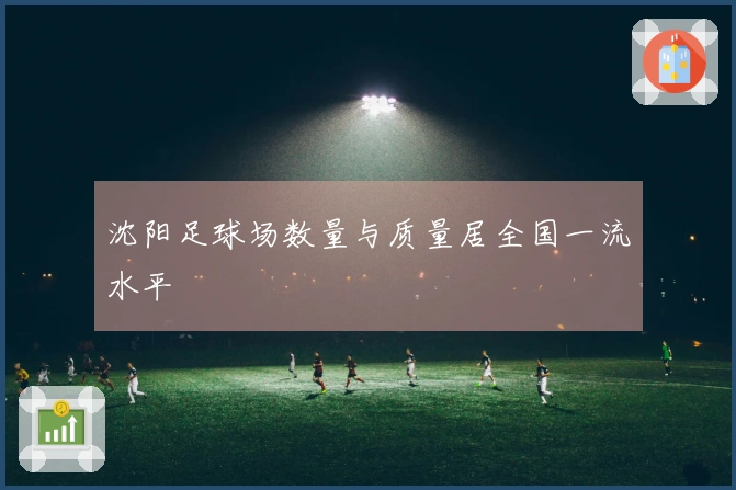 沈阳足球场数量与质量居全国一流水平