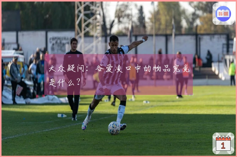 大众疑问：谷爱凌口中的物品究竟是什么？