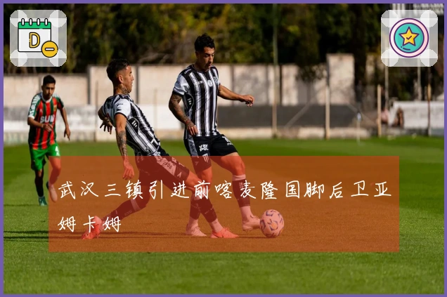 武汉三镇引进前喀麦隆国脚后卫亚姆卡姆