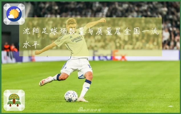 沈阳足球场数量与质量居全国一流水平